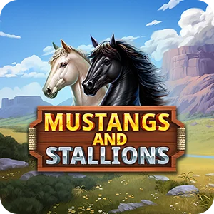 MUSTANGS AND STALLIONS