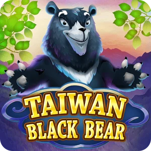 TAIWAN BLACK BEAR