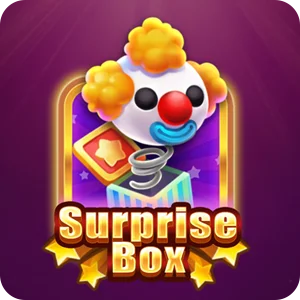 SURPRISE BOX