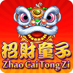 ZHAO CAI TONG ZI
