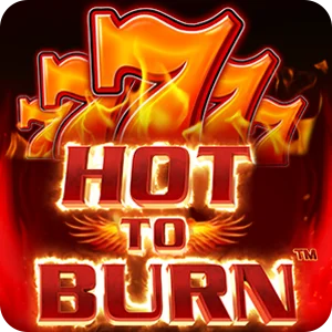 HOT TO BURN