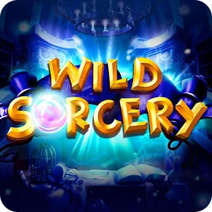 WILD SORCERY