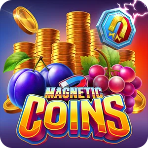 MAGNETIC COINS