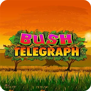 BUSH TELEGRAPH