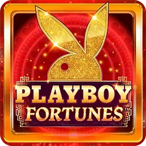 PLAYBOY FORTUNES