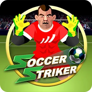 SOCCER STRIKER