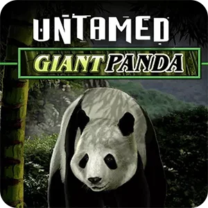 UNTAMED - GIANT PANDA