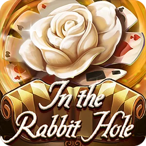 IN THE RABBIT HOLE