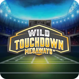 WILD TOUCHDOWN