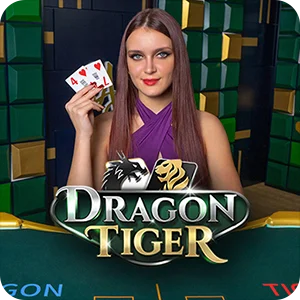 M DRAGON TIGER