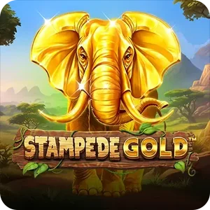 STAMPEDE GOLD