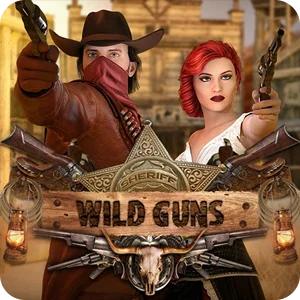WILD GUNS