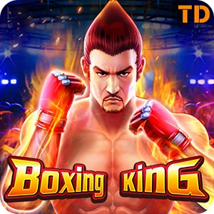BOXING KING